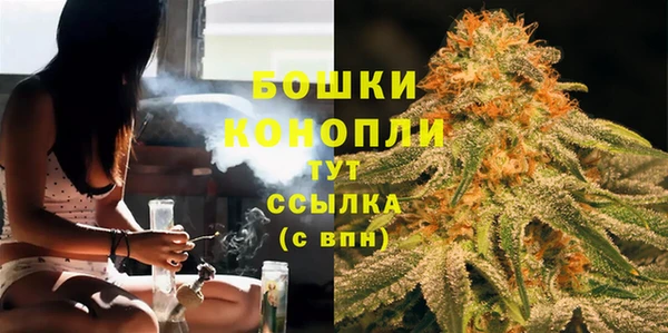 гидра Абаза