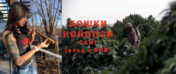 гидра Абаза