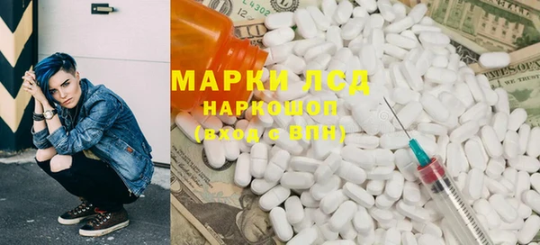 гидра Абаза