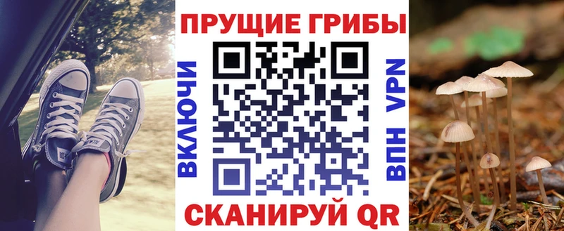 Галлюциногенные грибы Magic Shrooms  Абинск 